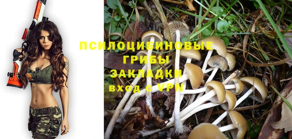 а пвп мука Горно-Алтайск
