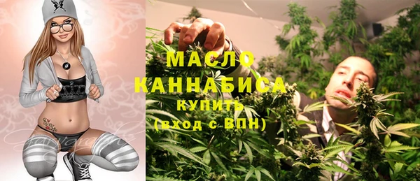 2c-b Горняк