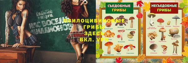 меф Горнозаводск