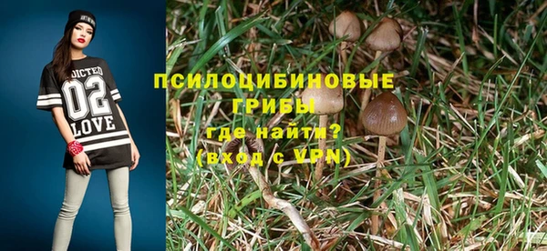 а пвп мука Горно-Алтайск