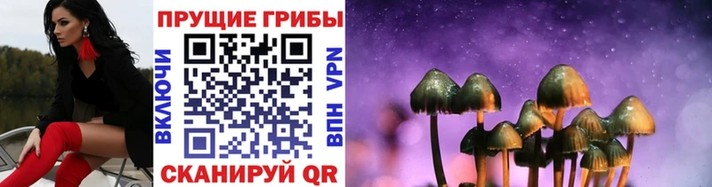 купить   Кукмор  Галлюциногенные грибы мухоморы 